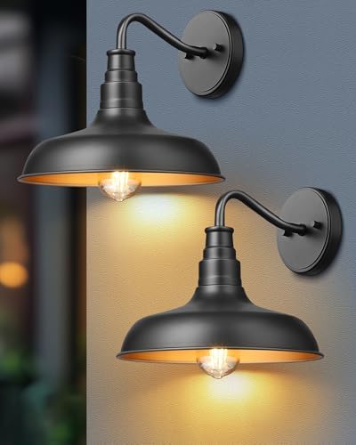 DEWENWILS 2 Pack Gooseneck Barn Outdoor Wall Light, Farmhouse Porch Light