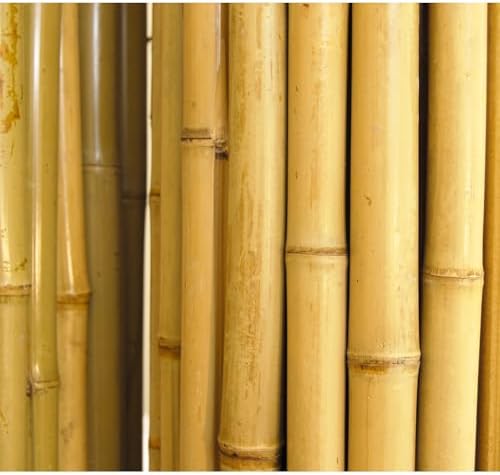 Backyard X-scapes BAMA-BF023 Bamboo Fencing, 3/4" D x 6' x 8'L