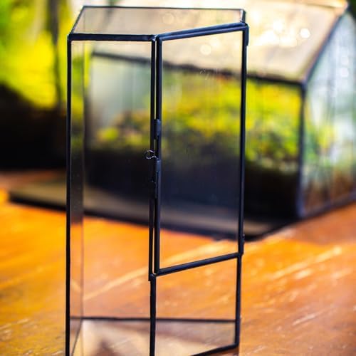 NCYP Glass Terrarium with Front Opening Door for Small Plants, Moss Wall