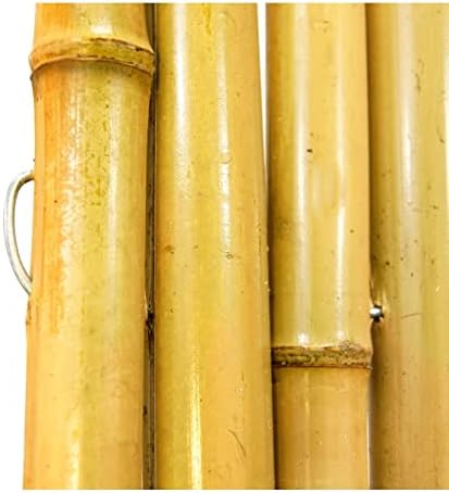 Backyard X-scapes BAMA-BF023 Bamboo Fencing, 3/4" D x 6' x 8'L
