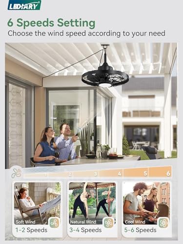 LEDIARY 20" Outdoor IP65 Waterproof Plug in Ceiling Fan with Lights