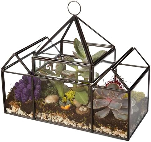 D'Eco Glass Castle Plant Terrarium, Centerpiece & Wedding Letterbox