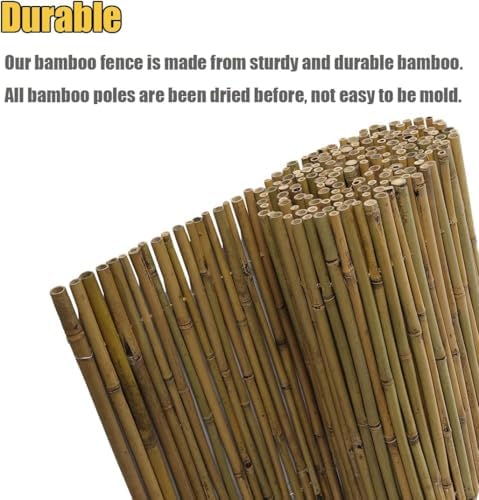 Jollybower 3Ft High x 8Ft Long x 0.7In D Bamboo Screen, Natural Bamboo Fence ...