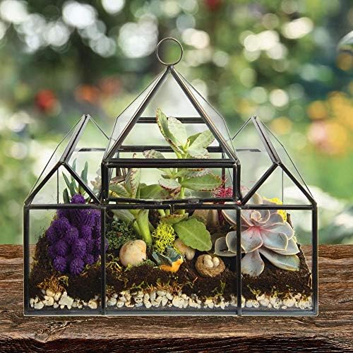 D'Eco Glass Castle Plant Terrarium, Centerpiece & Wedding Letterbox