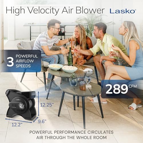 Lasko Pivoting High Velocity Portable Utility Fan - 12" - U12104 - Black