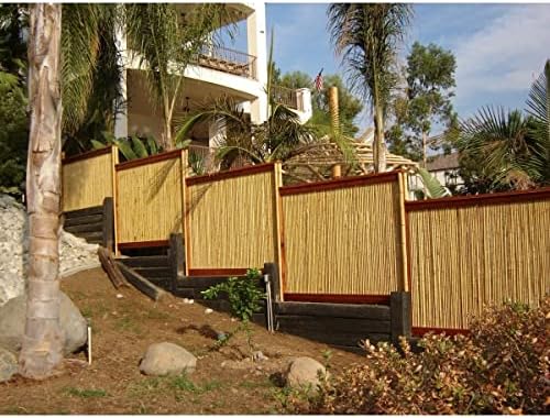 Backyard X-scapes BAMA-BF023 Bamboo Fencing, 3/4" D x 6' x 8'L