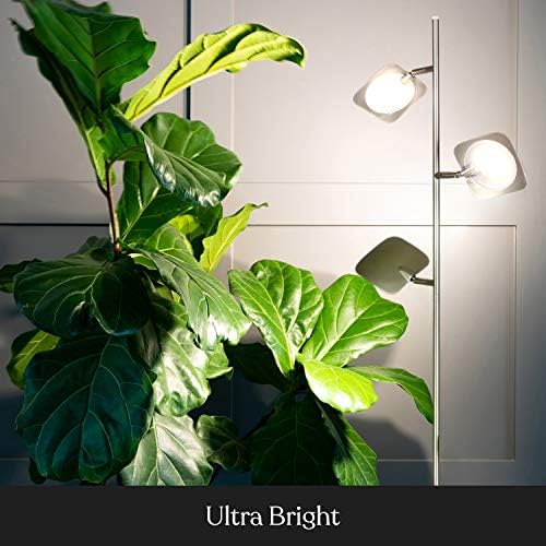 Brightech Tree Floor Lamp for Living Rooms & Offices, Dimmable Standing L...
