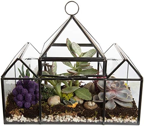D'Eco Glass Castle Plant Terrarium, Centerpiece & Wedding Letterbox