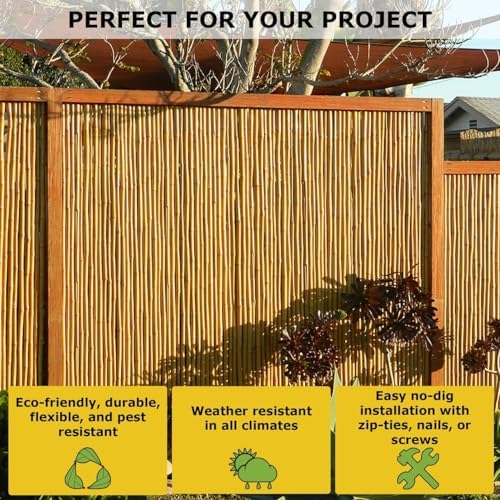 Backyard X-scapes BAMA-BF023 Bamboo Fencing, 3/4" D x 6' x 8'L
