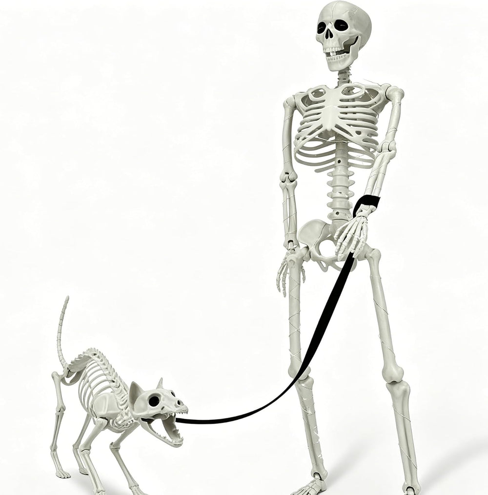 Lighted Human & Cat Skeleton Halloween Decorations Outdoor/Indoor