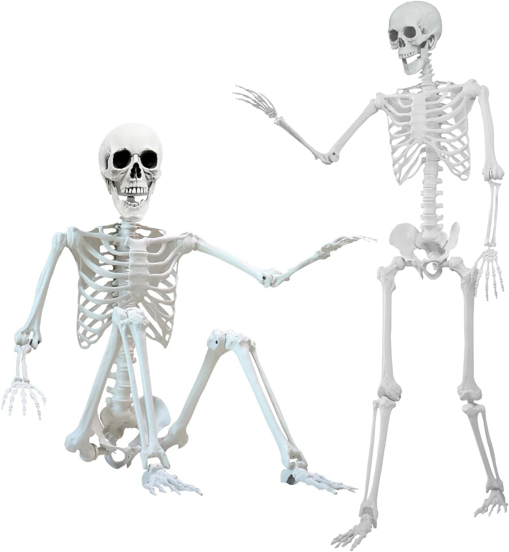 5.4 ft Halloween Skeleton Poseable Skeleton Life Size Skeleton Full Body Plas...