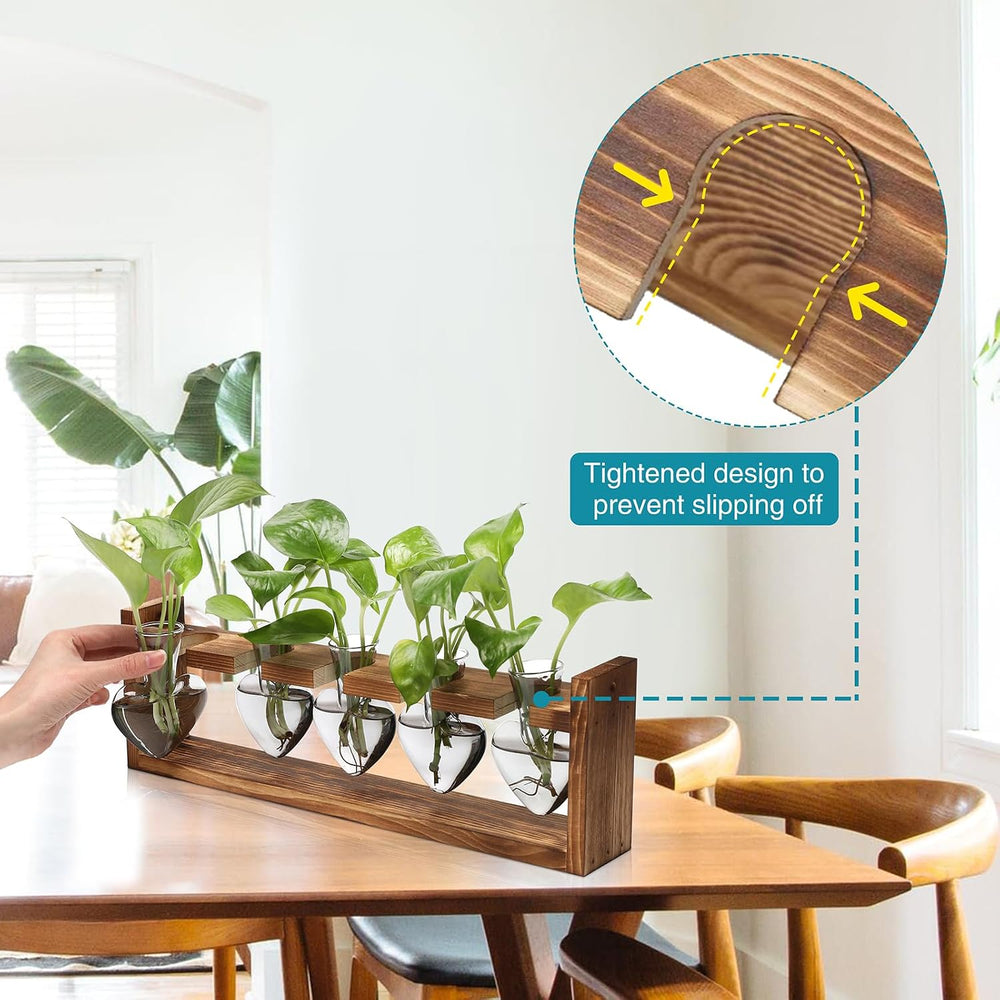 Plant Terrarium Hanging Propagation Stations Gift for Women