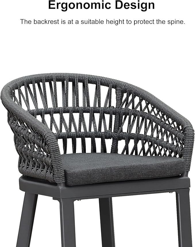 PURPLE LEAF Outdoor Rattan 24" Counter Height Bar Stools Chair Set of 2,...