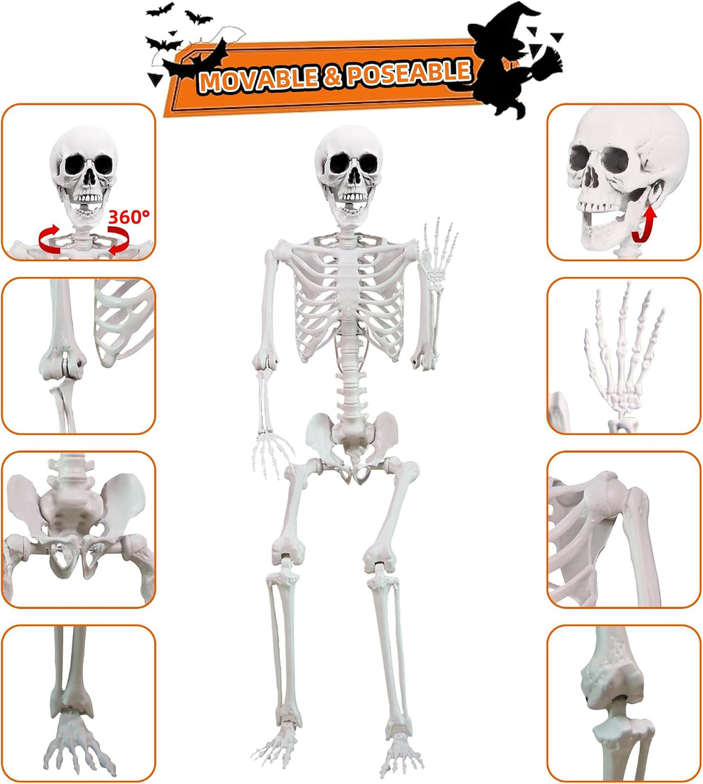 5.4 ft Halloween Skeleton Poseable Skeleton Life Size Skeleton Full Body Plas...