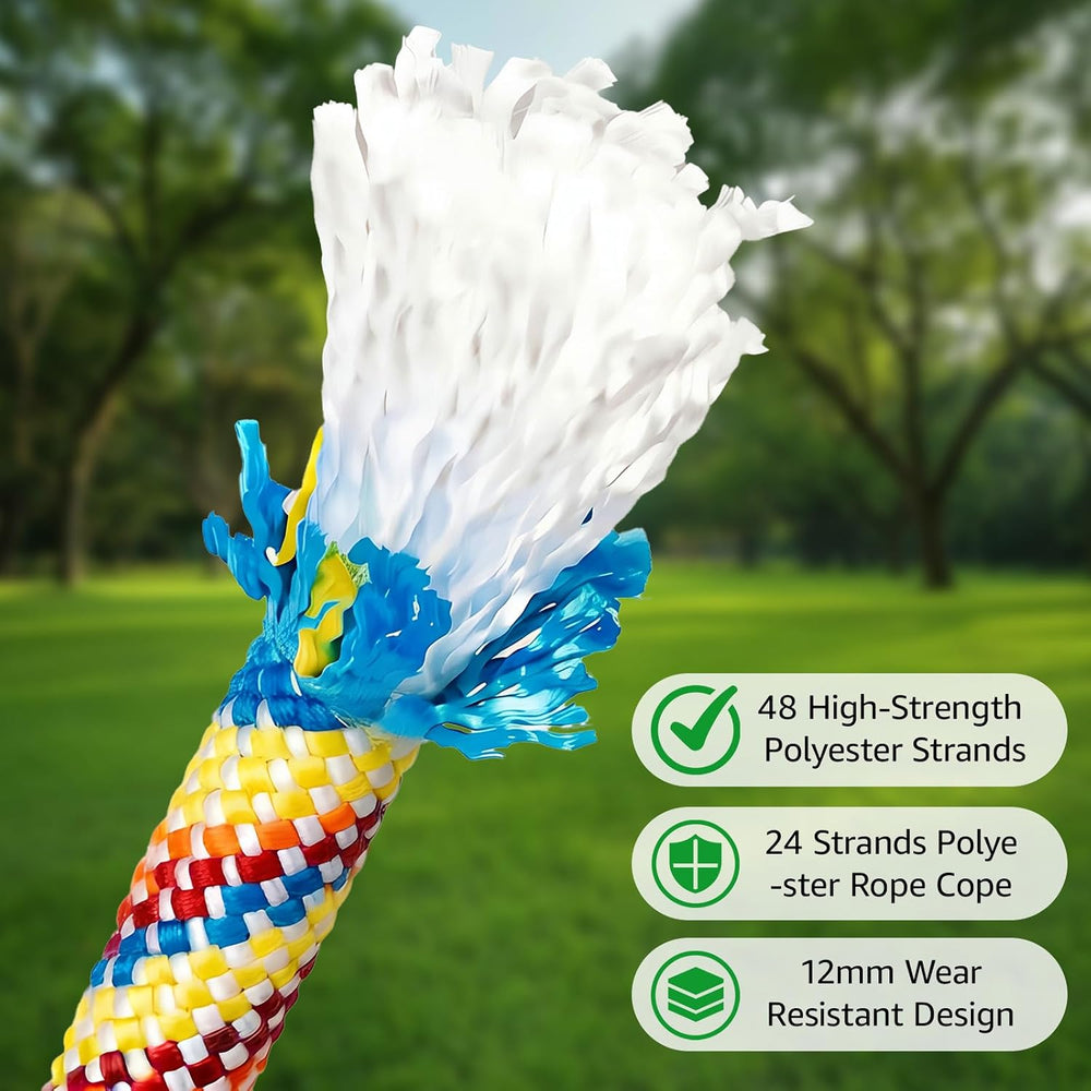 Heavy Duty Tree Swing Ropes with Safer Lock-(2Pack, Rainbow,20FT)