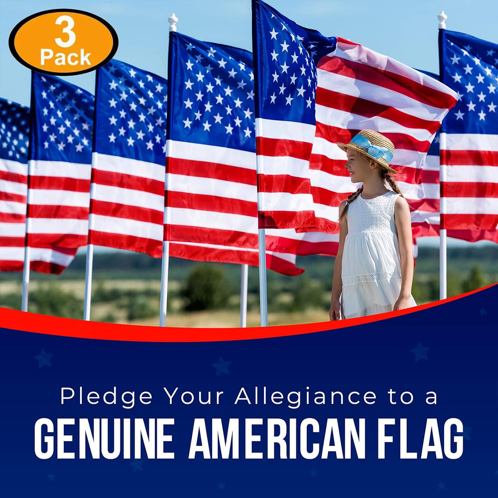American Flags for Outside 3X5 (Pack of 3) - 3x5 Flag with Embroidered Stars ...