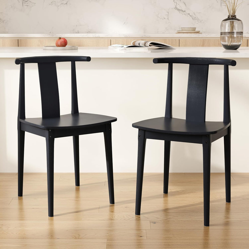 Wood Dining Room Chairs Set of 2 Black