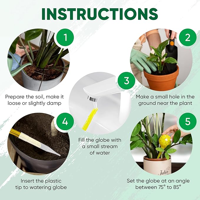 Plant Watering Globes Set of 6 - Large Glass Self Watering Bulbs Up to 7 Days...