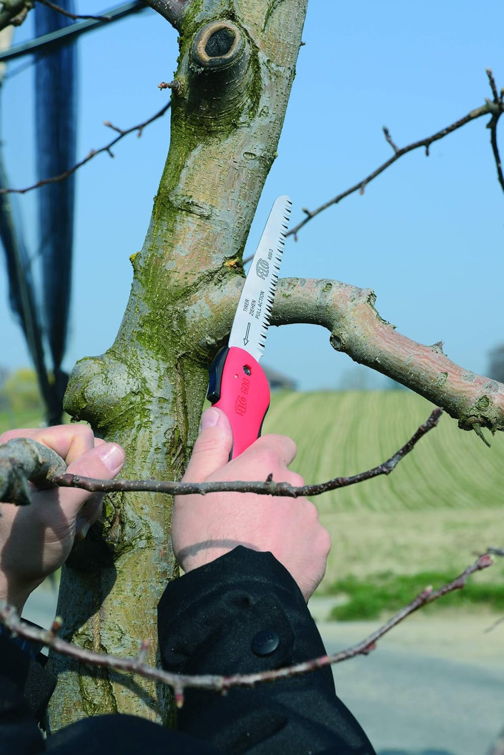 Felco Folding Saw (F 600) - Classic Tree Pruning Saw with Pull-Stroke Action,...