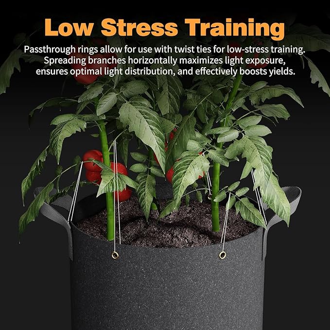 Self-Watering Grow Bags, 5-Pack 10 Gallon 420G Thick Nonwoven Fabric Pots wit...