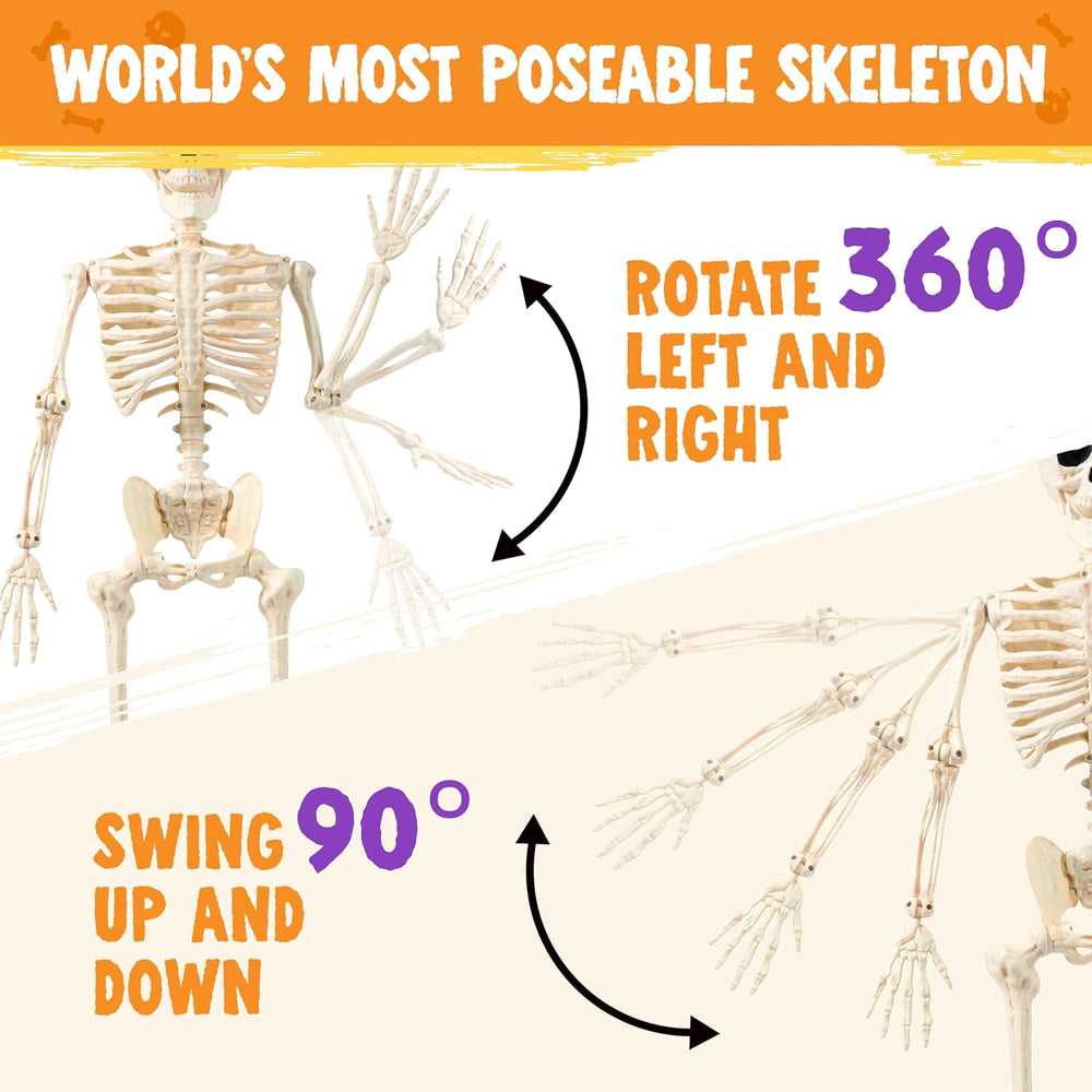 JOYIN 2PCS 36" Halloween Realistic Skeleton Decor, 3FT Full Body Stayabl...