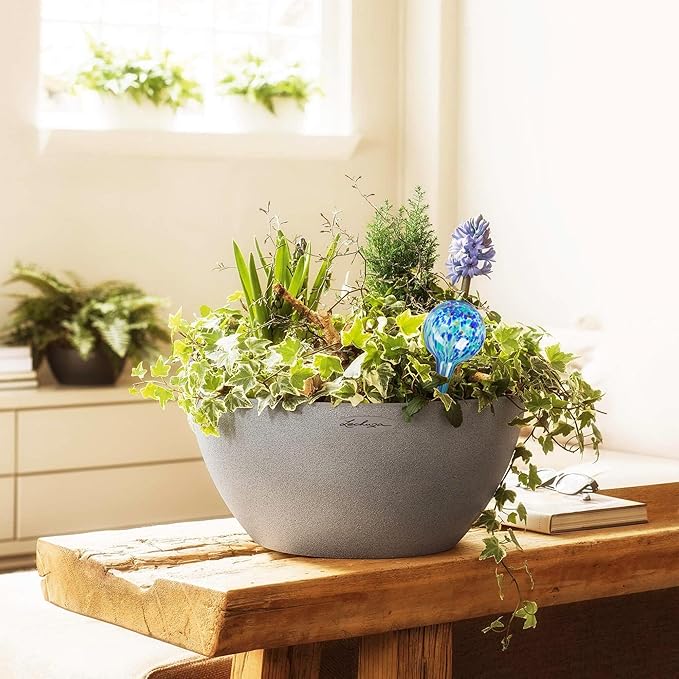 Plant Watering Globes Set of 4 - Large Self Watering Globes for Indoor & ...