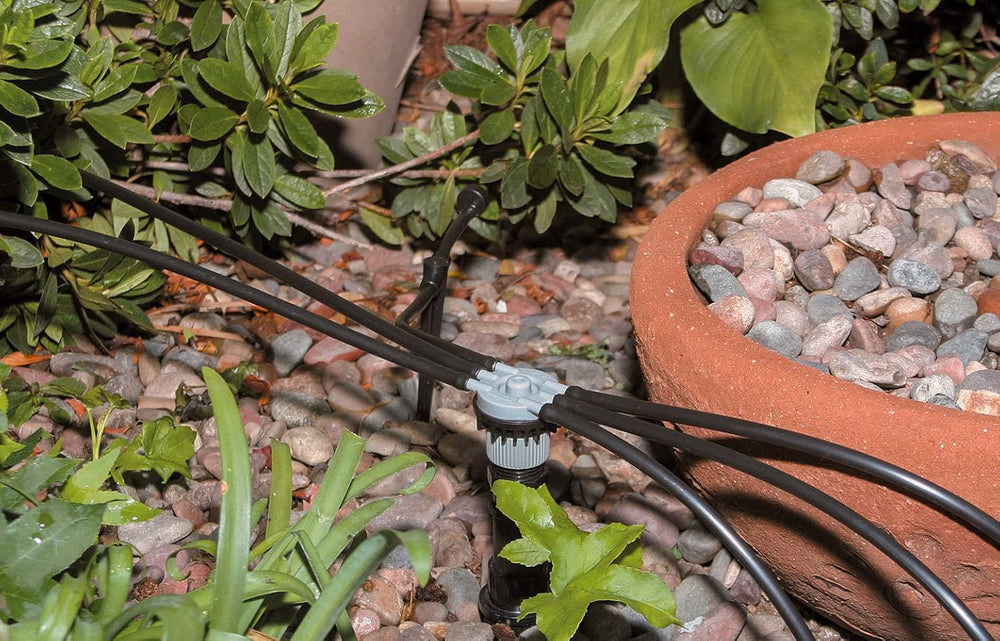 Rain Bird MANIFRE6S Drip Irrigation 6-Port Manifold, Unregulated Free Flow (P...