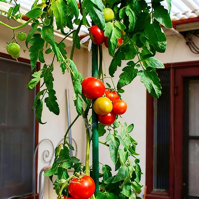 Xiny Tool Garden Stakes, 15 Pack 8 FT Steel Plant Garden Tomato Stakes with P...