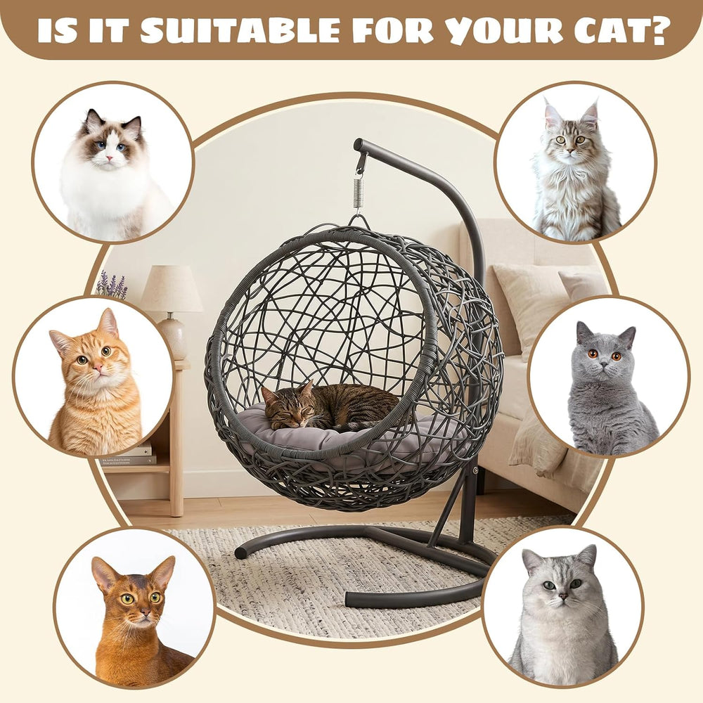 Hanging Cat Swing Bed with Stand, Rattan Egg Chair for Cats
