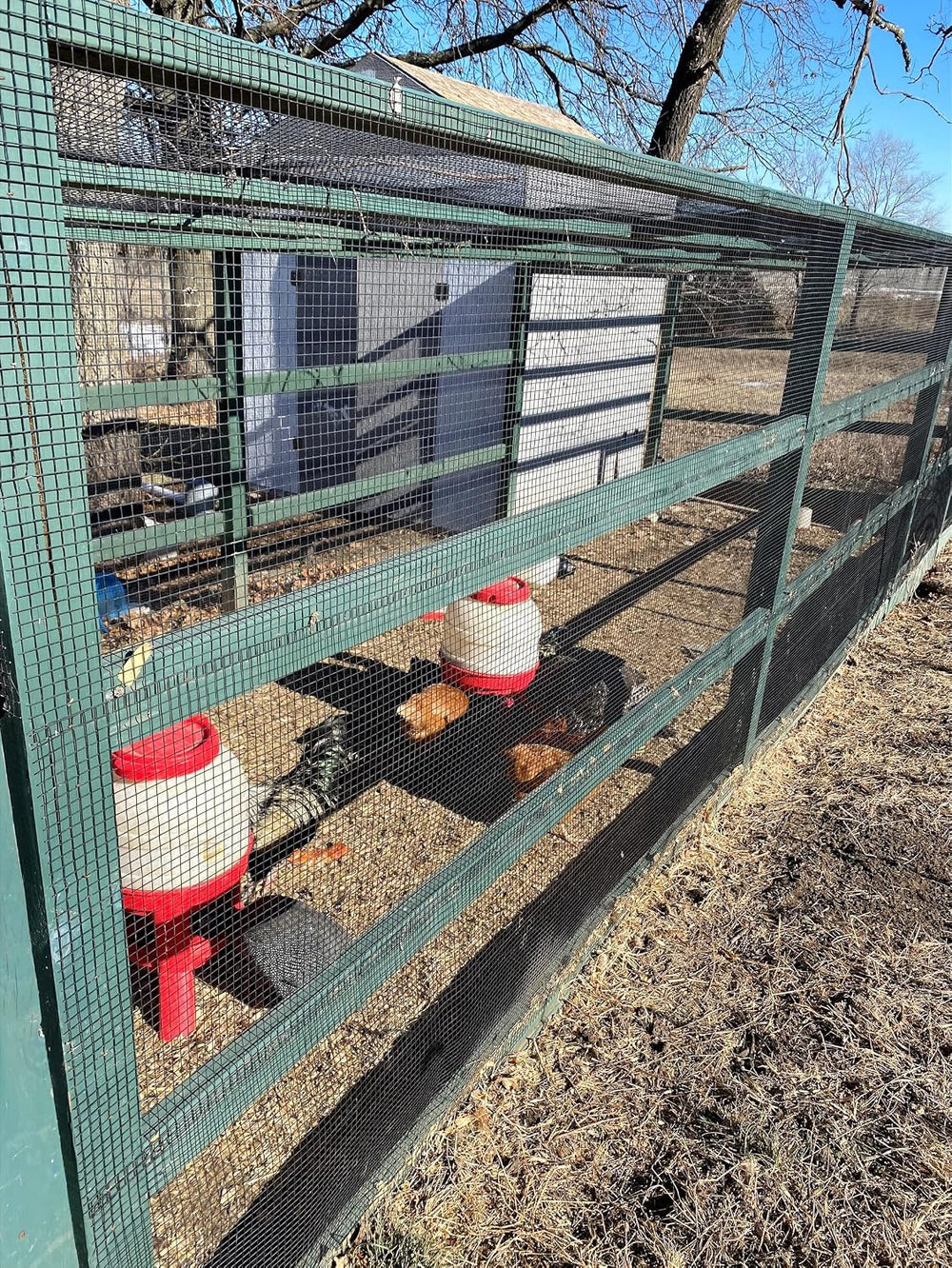 25 Gauge Vinyl Coated Wire Mesh Roll, Hardware Cloth (75' x 2' x 1/4&...