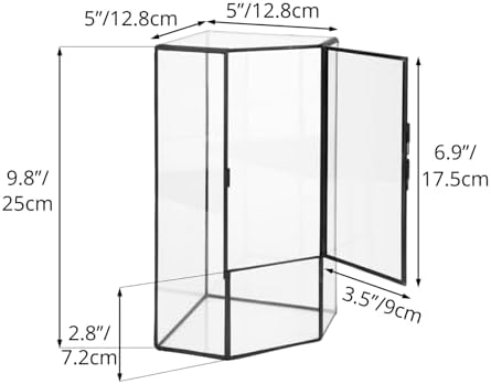 NCYP Glass Terrarium with Front Opening Door for Small Plants, Moss Wall