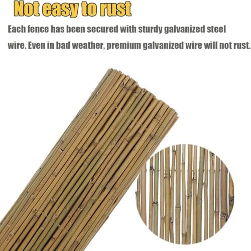 Jollybower 3Ft High x 8Ft Long x 0.7In D Bamboo Screen, Natural Bamboo Fence ...