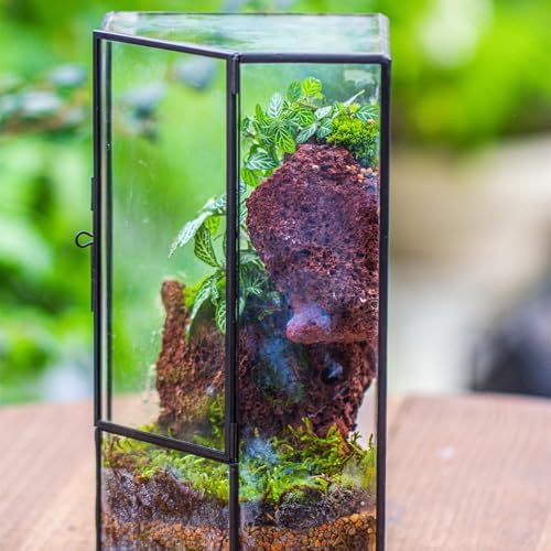 NCYP Glass Terrarium with Front Opening Door for Small Plants, Moss Wall
