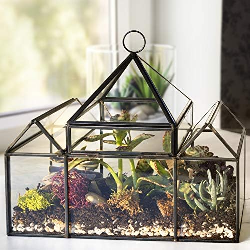 D'Eco Glass Castle Plant Terrarium, Centerpiece & Wedding Letterbox