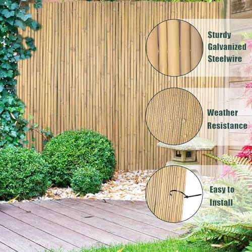 Jollybower 3Ft High x 8Ft Long x 0.7In D Bamboo Screen, Natural Bamboo Fence ...