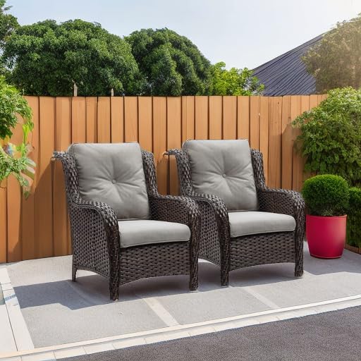 Rilyson Outdoor Wicker Patio Chairs Set of 2, Rattan Dining Chairs Porch Chai...