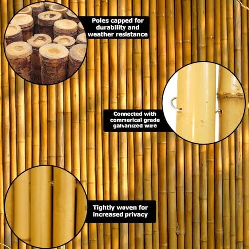 Backyard X-scapes BAMA-BF023 Bamboo Fencing, 3/4" D x 6' x 8'L