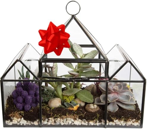 D'Eco Glass Castle Plant Terrarium, Centerpiece & Wedding Letterbox