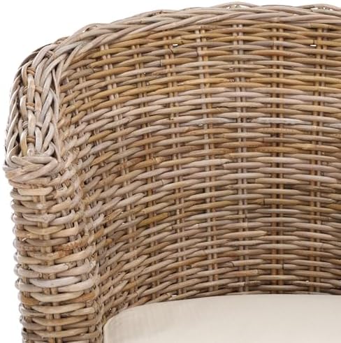 SAFAVIEH Omni Barrel Wood Accent Chair, 30" FOX6501C