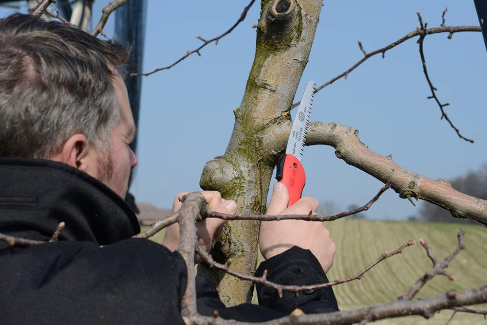 Felco Folding Saw (F 600) - Classic Tree Pruning Saw with Pull-Stroke Action,...