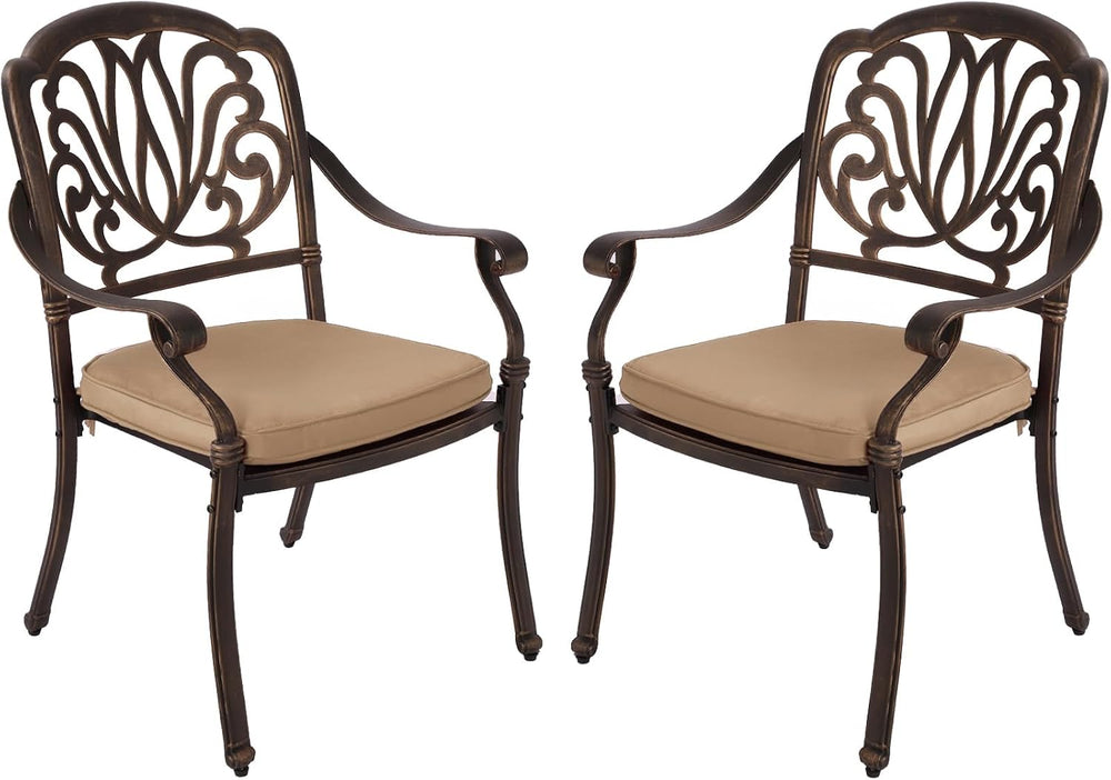TITIMO 2 Piece Outdoor Patio Dining Chair Set Cast Aluminum Patio Furniture