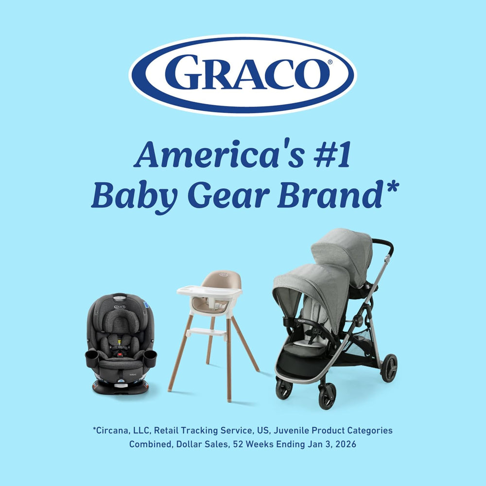 Graco Slim Spaces Swing, Reign