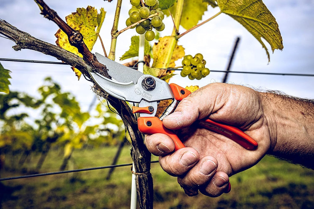 Original LÖWE 9 Bypass Pruning Shears 9.104 with Adjustable Grip Width - Shar...