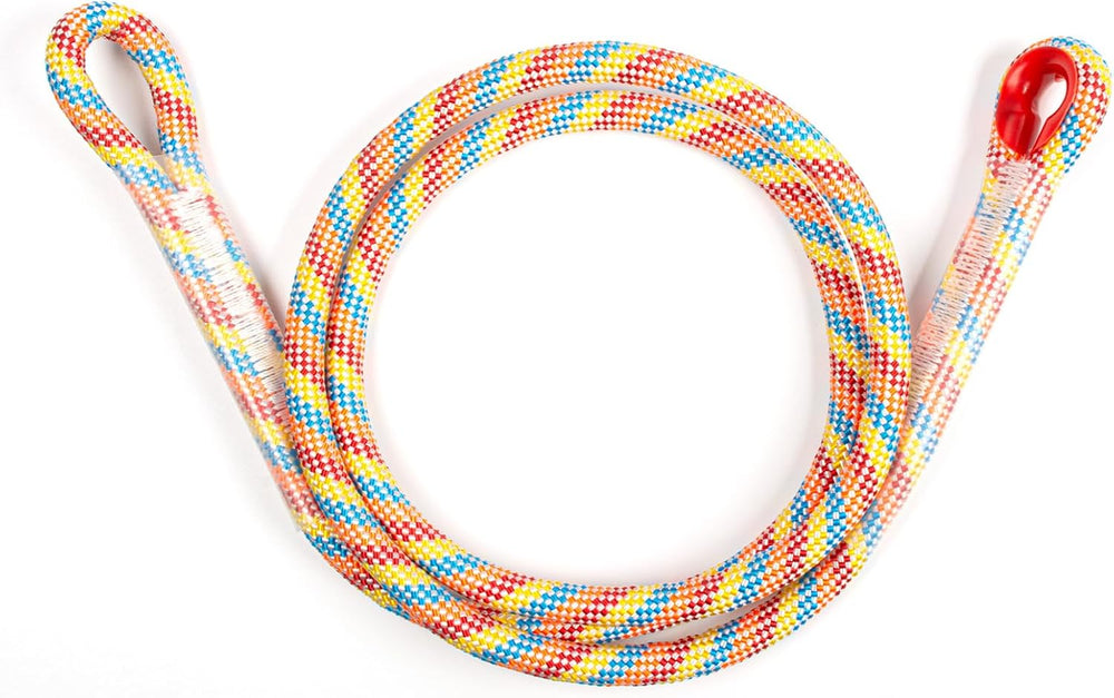 Heavy Duty Tree Swing Ropes with Safer Lock-(2Pack, Rainbow,20FT)