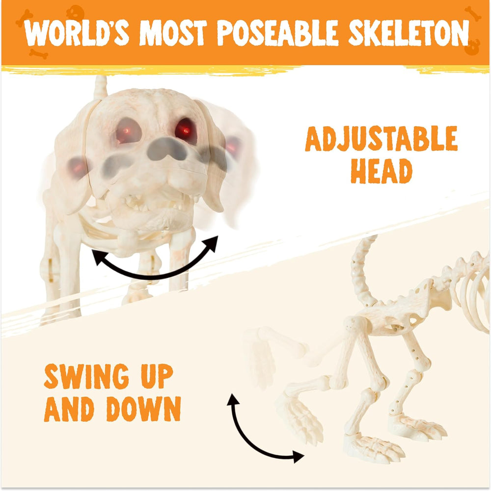JOYIN Halloween Golden Retriever Skeleton 34” Animal Dog Plastic Skeleton wit...