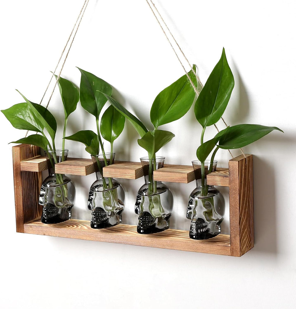 Plant Propagation Stations Halloween Skull Plant Terrarium Kit