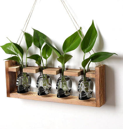 Plant Propagation Stations Halloween Skull Plant Terrarium Kit