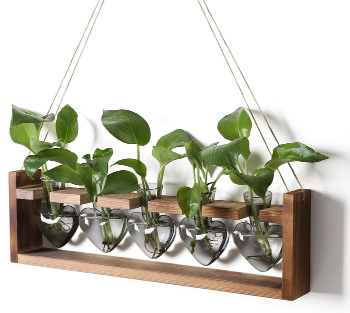 Plant Terrarium Hanging Propagation Stations Gift for Women