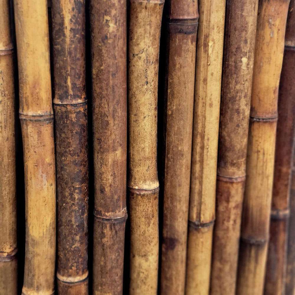 FOREVER BAMBOO Caramel Brown Bamboo Fencing Decorative Rolled Fence Panel 3 f...