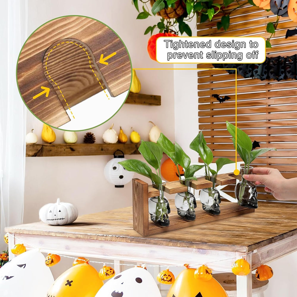 Plant Propagation Stations Halloween Skull Plant Terrarium Kit
